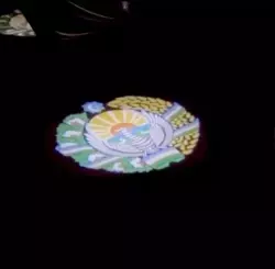 Avtomobil eshigi uchun LED yoritgich, O‘zbekiston Gerbi logotipi tushirilgan